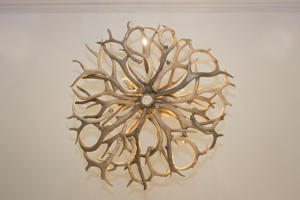Dunalastair Hotel Suites Кінлок-Раннок Екстер'єр фото Antler chandelier